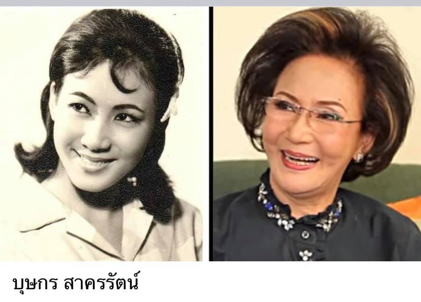 ดาวค้างฟ้าของเมืองไทย