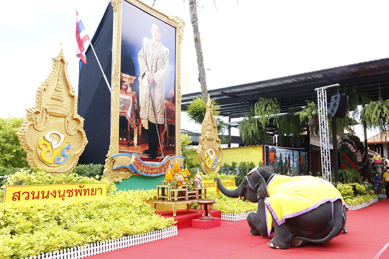 งานเฉลิมพระเกียรติ ในหลวง รัชกาลที่ 10