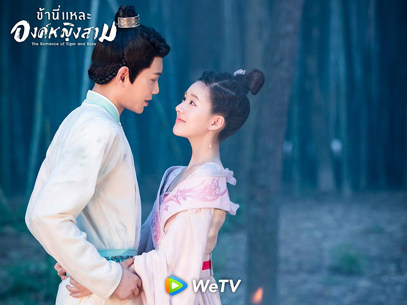 ติงอวี่ซี จ้าวลู่ซือ ซีรีส์จีน ข้านี่แหละองค์หญิงสาม