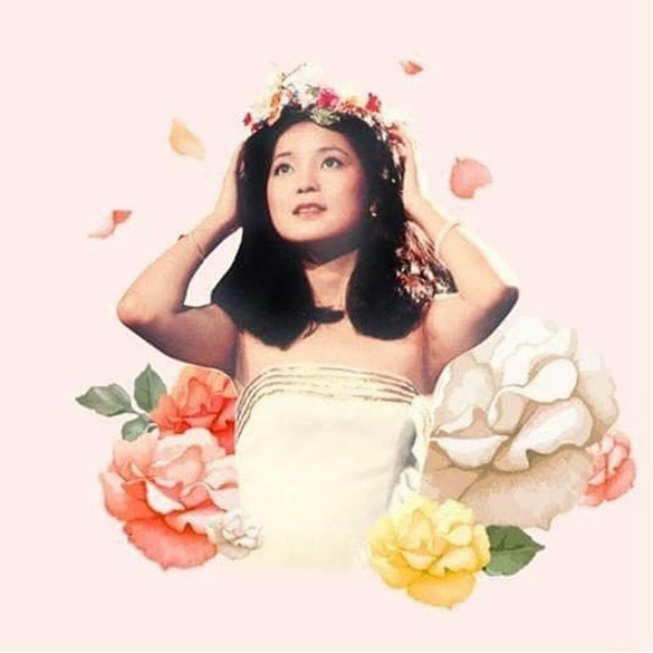  เติ้งลี่จวิน