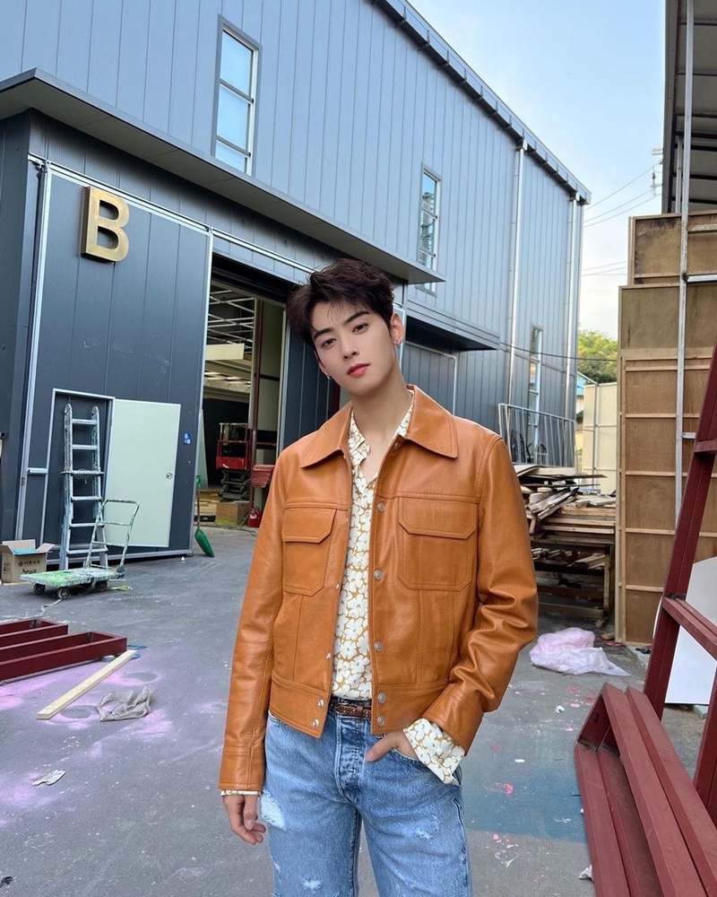 cha eun woo ชาอึนอู