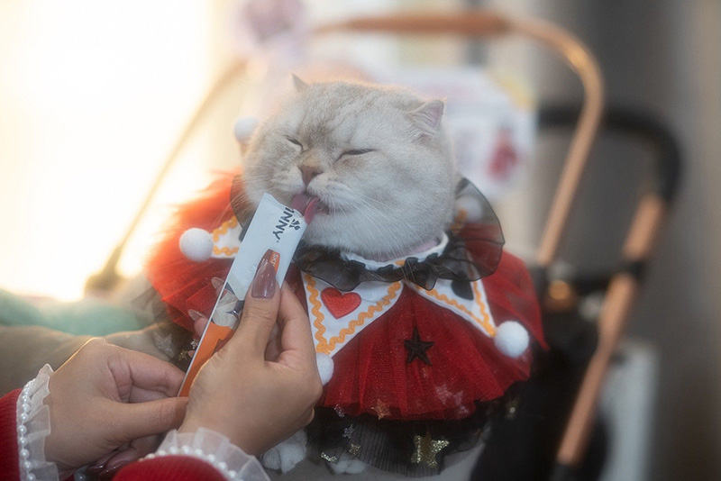 JINNY ใจฟูเจอร์นี่