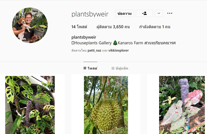 อินสตาแกรม