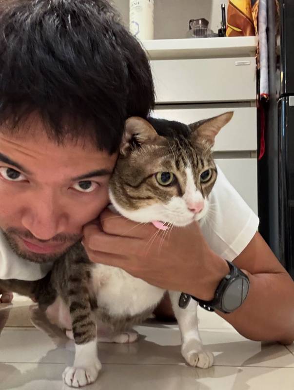 แมว เกรท วรินทร