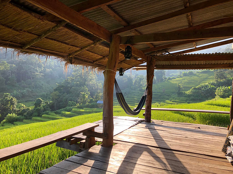 วิวนาขั้นบันไดจากบ้านพักโฮมสเตย์ บ้างปางมะโอ