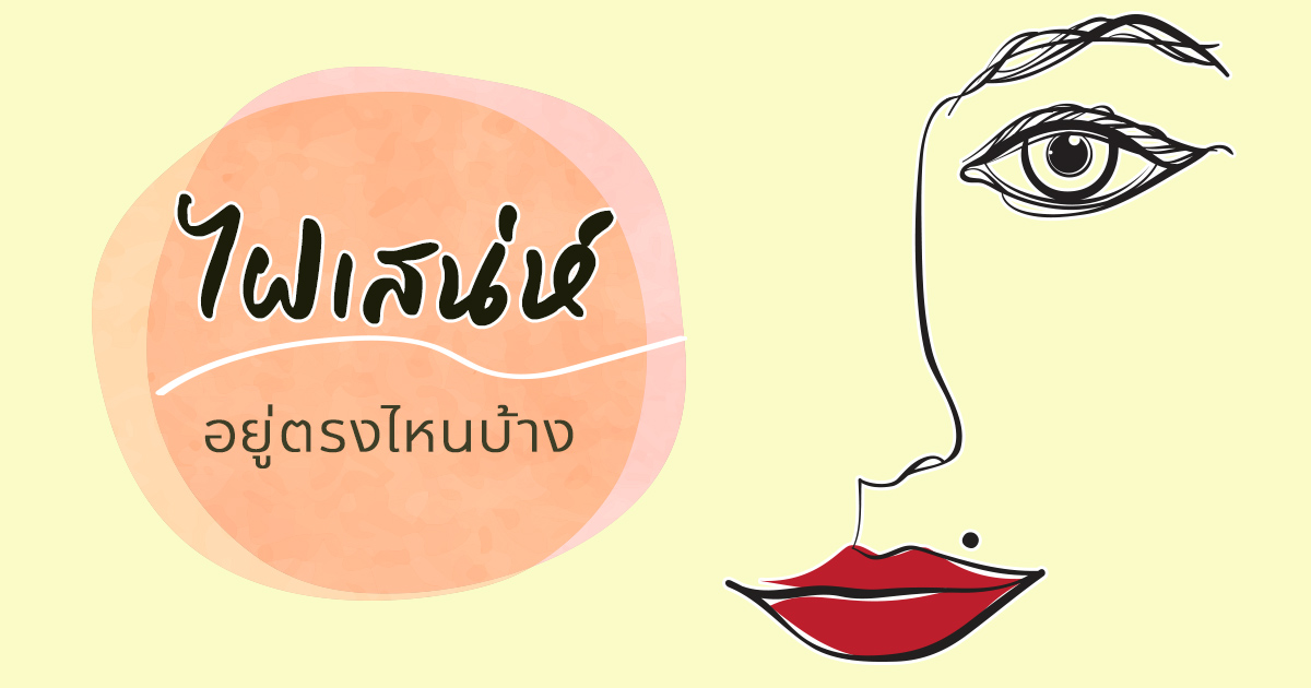 .ไฝเสน่ห์อยู่ตรงไหน เปิดตำแหน่งไฝเสน่ห์ เสริมดวงให้ปังยิ่งขึ้น.