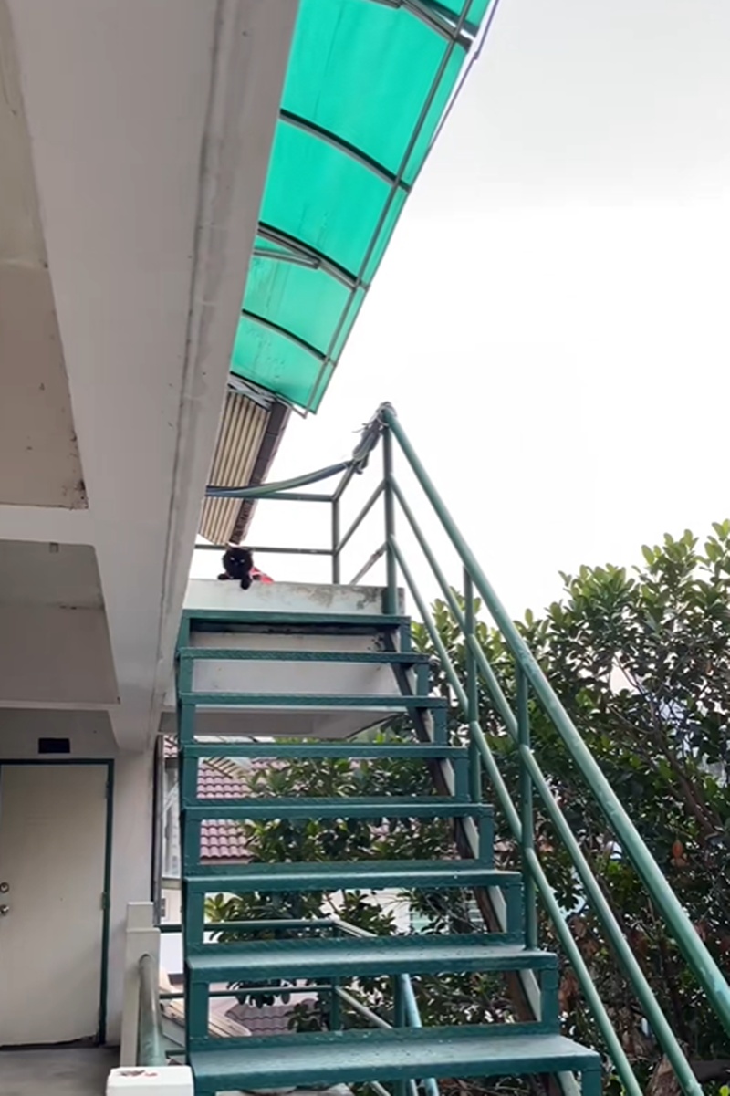 ห้องเช่า