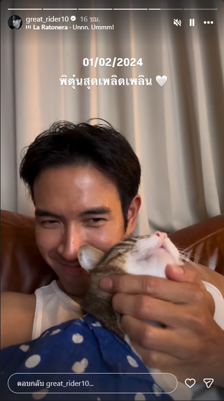 แมว เกรท วรินทร