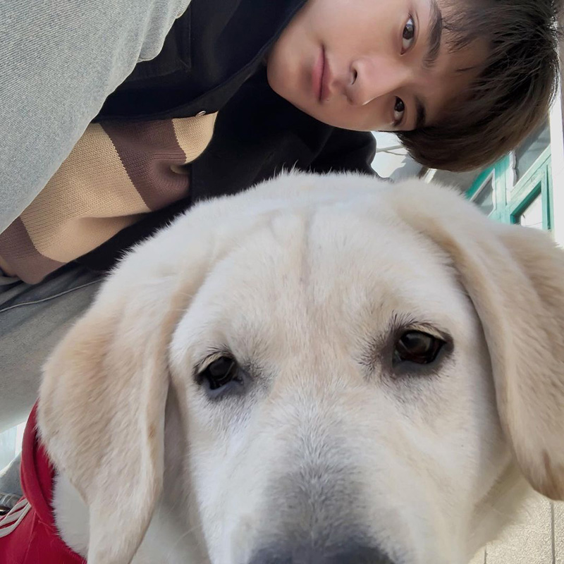 หลินอี ดาราจีน