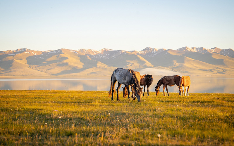 คีร์กีซสถาน ลักษณะภูมิประเทศ