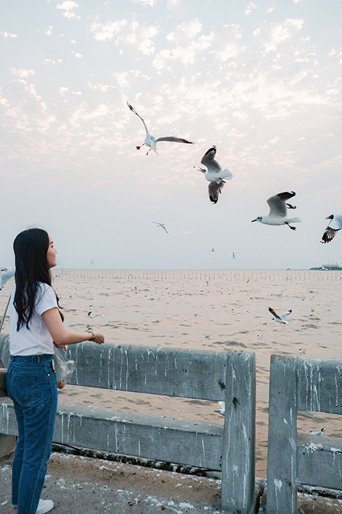 สถานตากอากาศบางปู