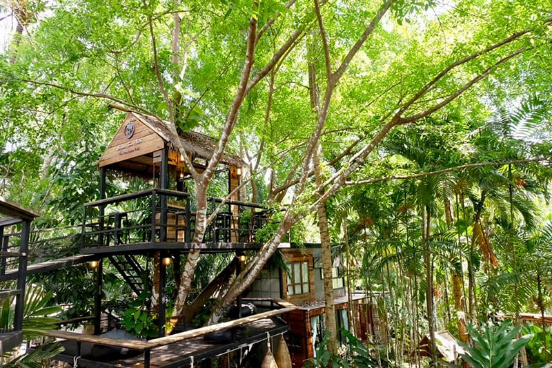 คาเฟ่ในป่า