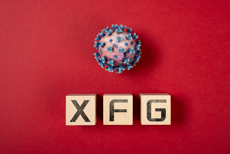 โควิด XFG คืออะไร