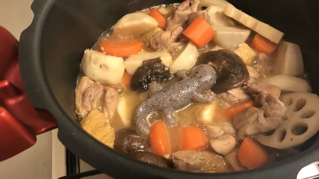 ซาลาแมนเดอร์