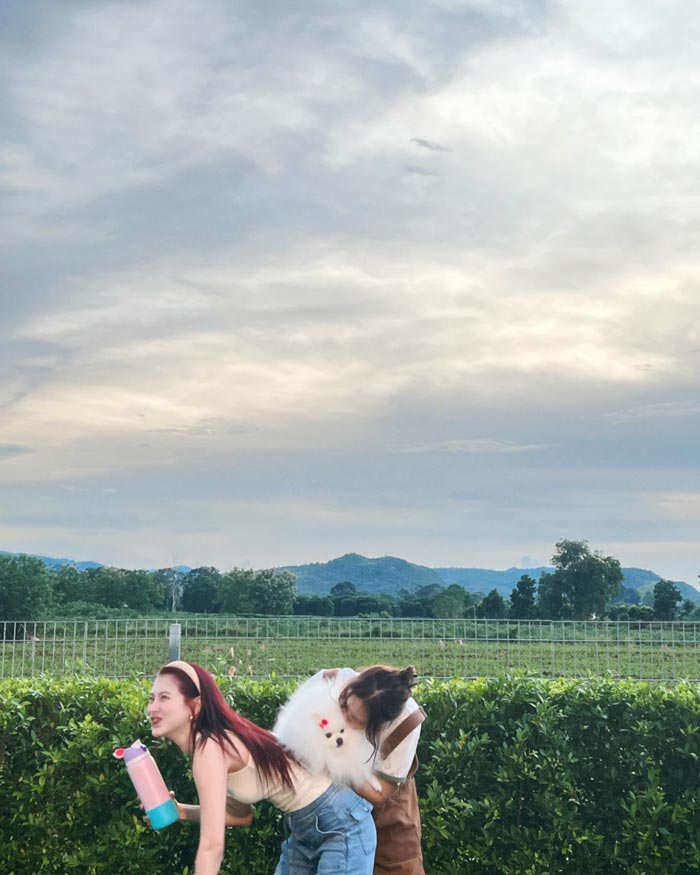 ใบเฟิร์น พิมพ์ชนก