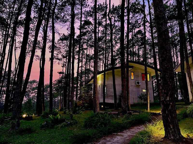 สวนป่าดอยบ่อหลวง