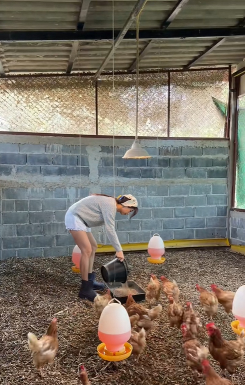 มิ้นต์ ชาลิดา