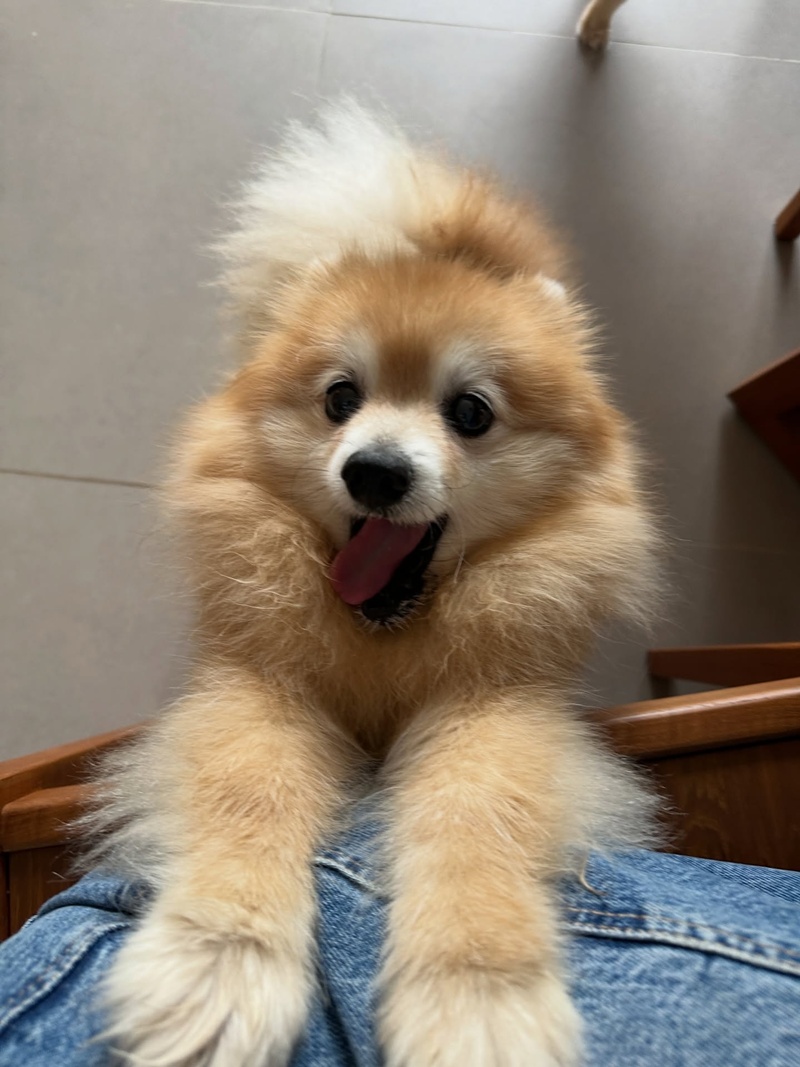 บ้านคริส หอวัง