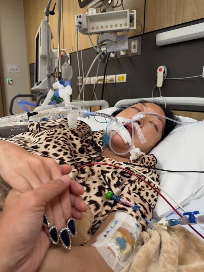  คุณหญิงแมงมุม