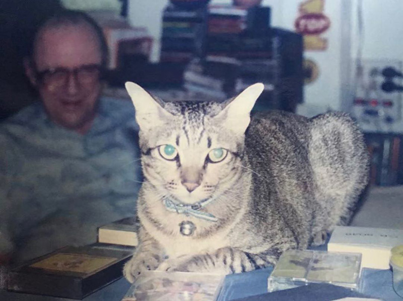 แมวเบลล่า ราณี ตาย