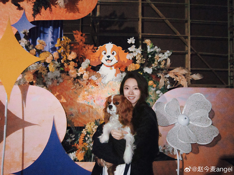 จ้าวจินม่าย Zhaojinmai ดาราจีน