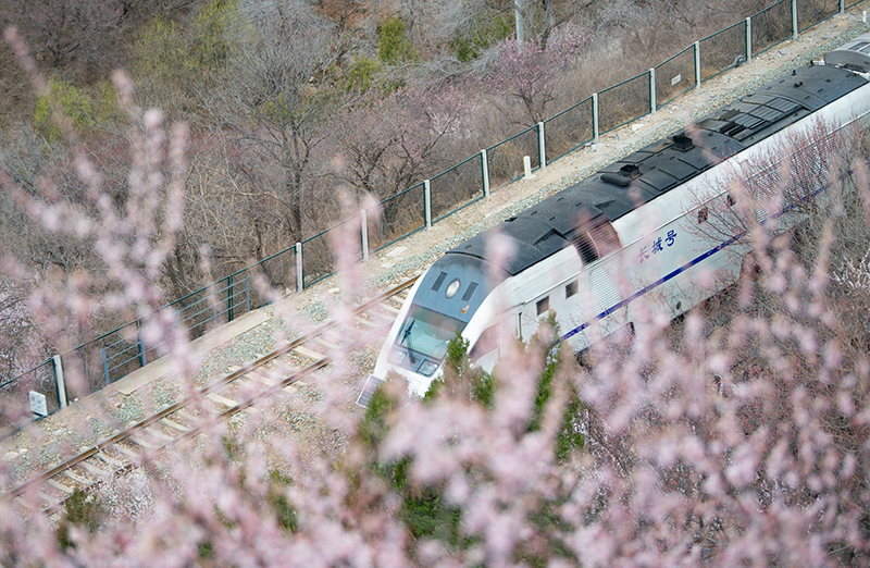 เที่ยวจีน