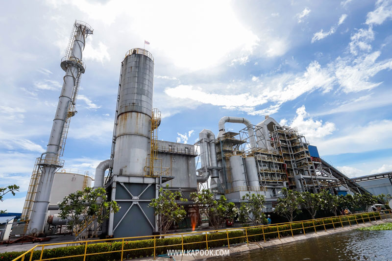 ระบบบำบัดมลพิษ (Fuel Gas Cleaning System)