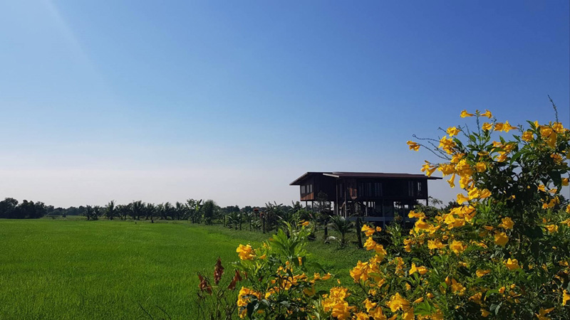 ภาพจาก STUDIO MITI