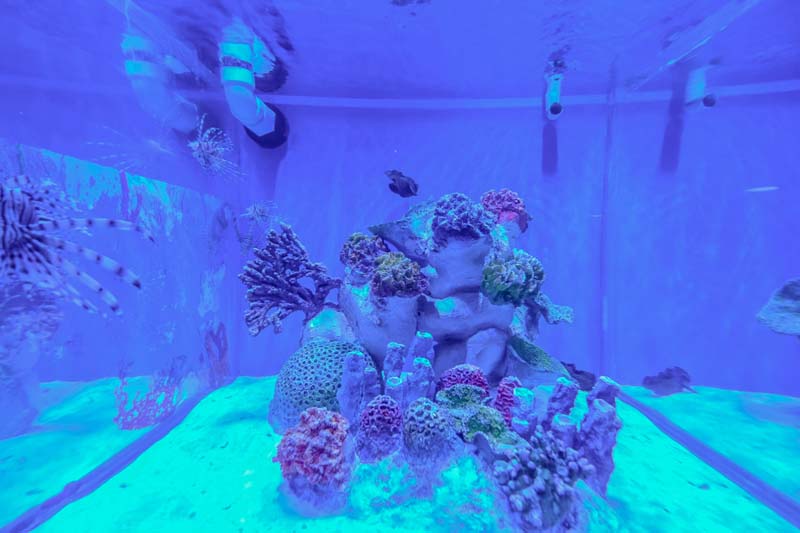 Aquarium สวนสัตว์เชียงใหม่ 