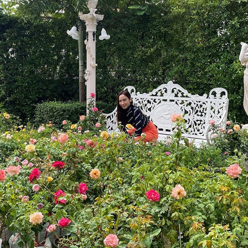 สวนบ้าน อั้ม พัชราภา