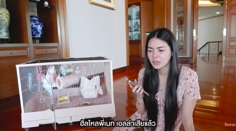 เอวา ปวรวรรณ 