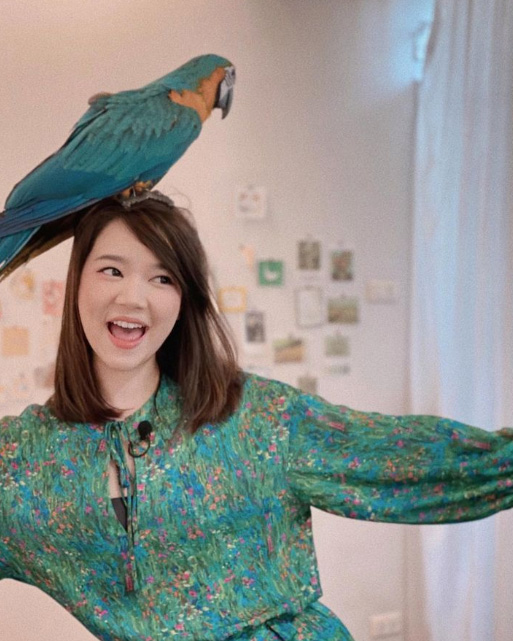 เซน เมจกา ประวัติ