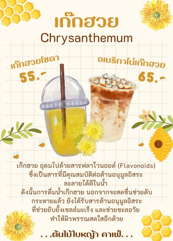 ต้นไม้ใบหญ้า Cafe' at แก่งกระจาน