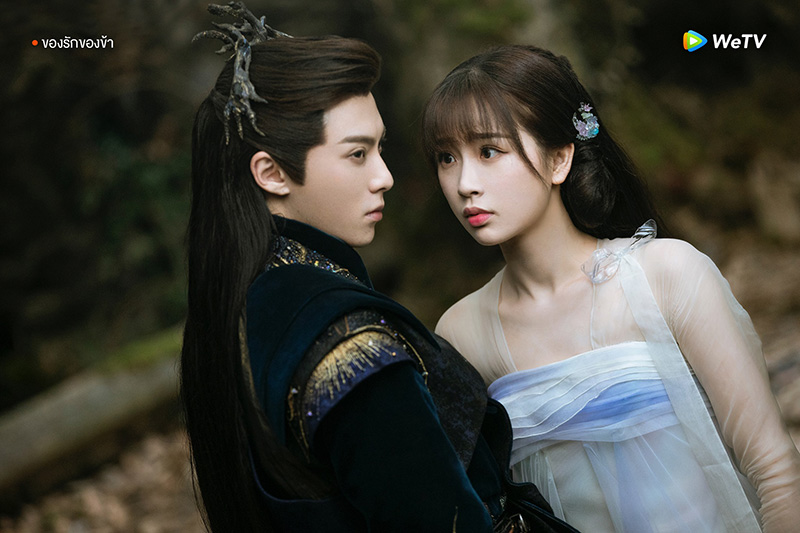 ของรักของข้า ซีรีส์จีน พระเอกคลั่งรัก