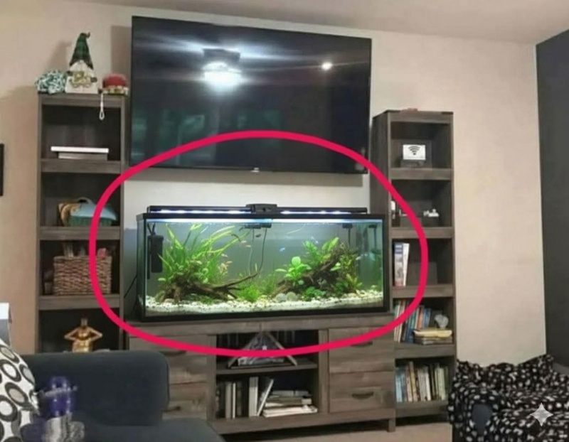 ไอเดียแต่งบ้าน