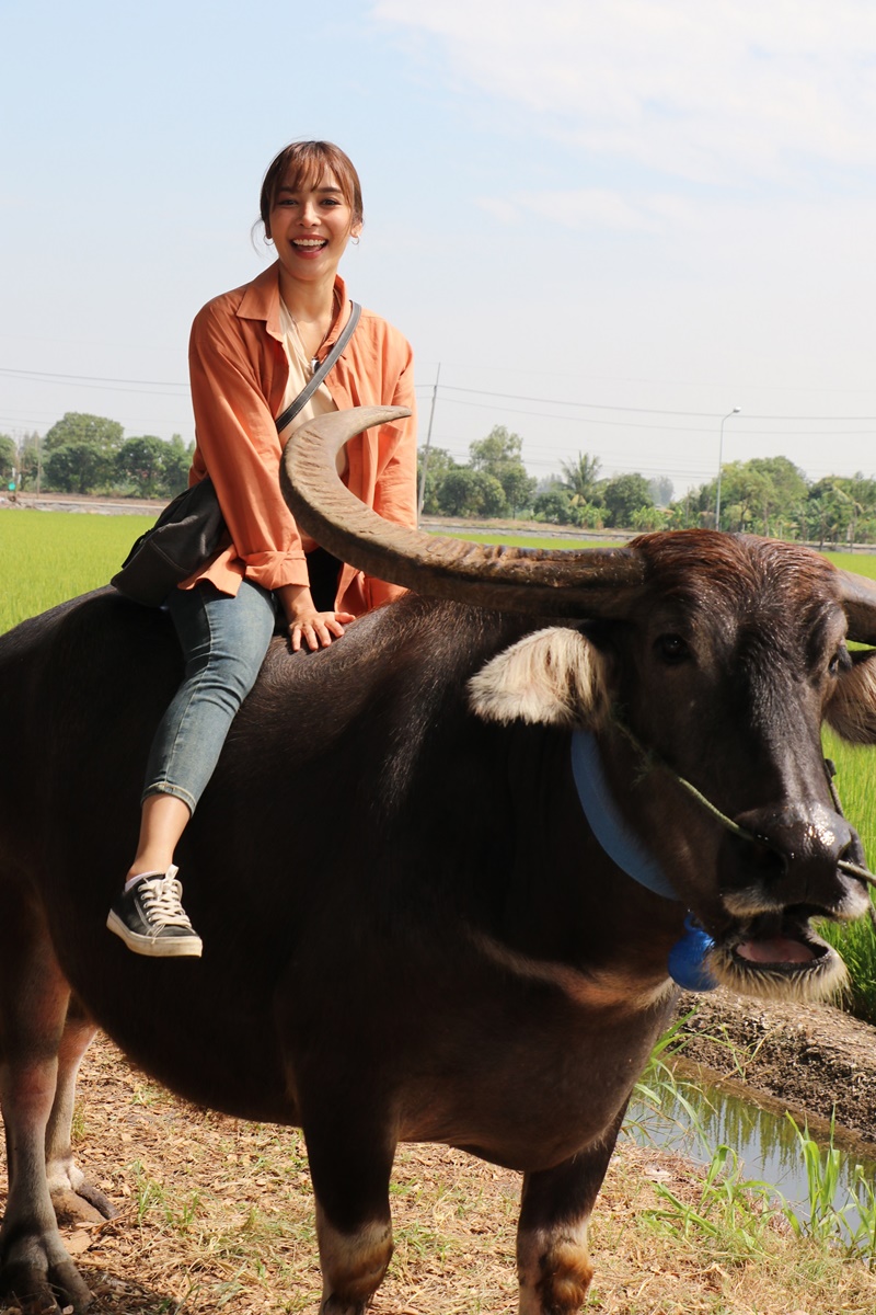 เลดี้ทุ่งกระบือบาล