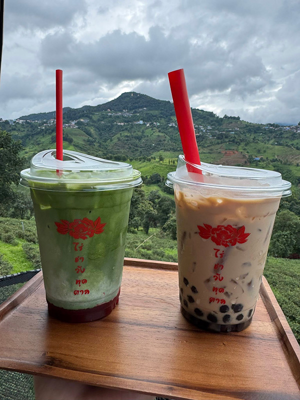 ร้านคาเฟ่บนดอย ไร่ชาวังพุดตาล