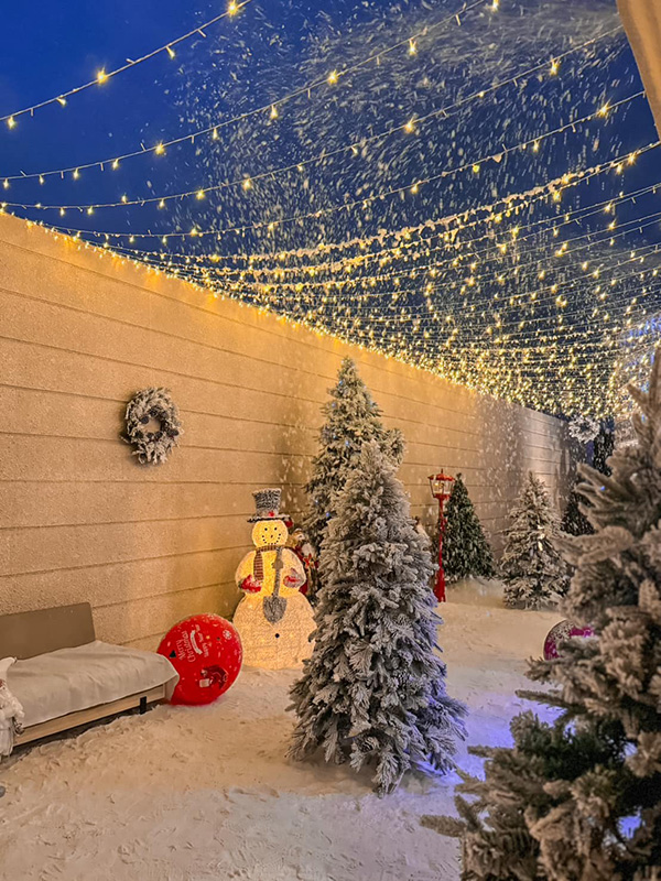 คาเฟ่หิมะ อยุธยา