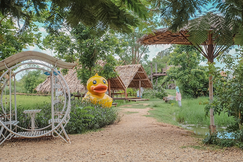 The Ugly Duckling Learning Farm