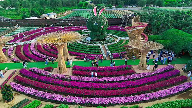 สวนเมเปิ้ล กาญจนบุรี 2568