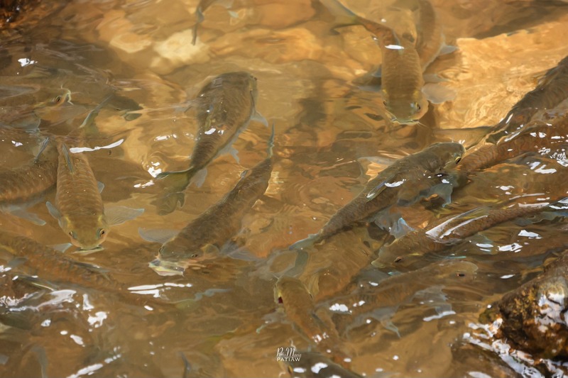 น้ำตกจ๊อกกระดิ่น อุทยานแห่งชาติทองผาภูมิ จ. กาญจนบุรี