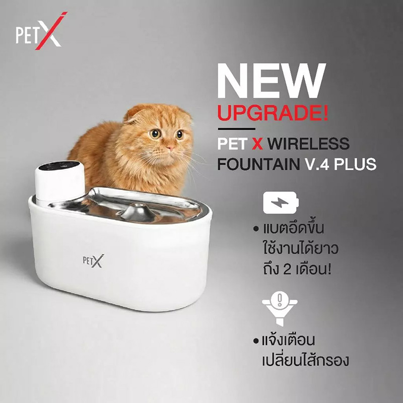 ชามน้ำแมว PETX