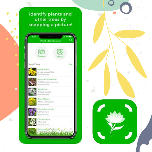 Plant Identification & Info