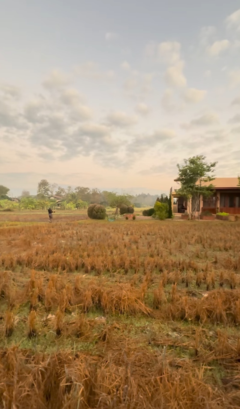 แอน ทองประสม