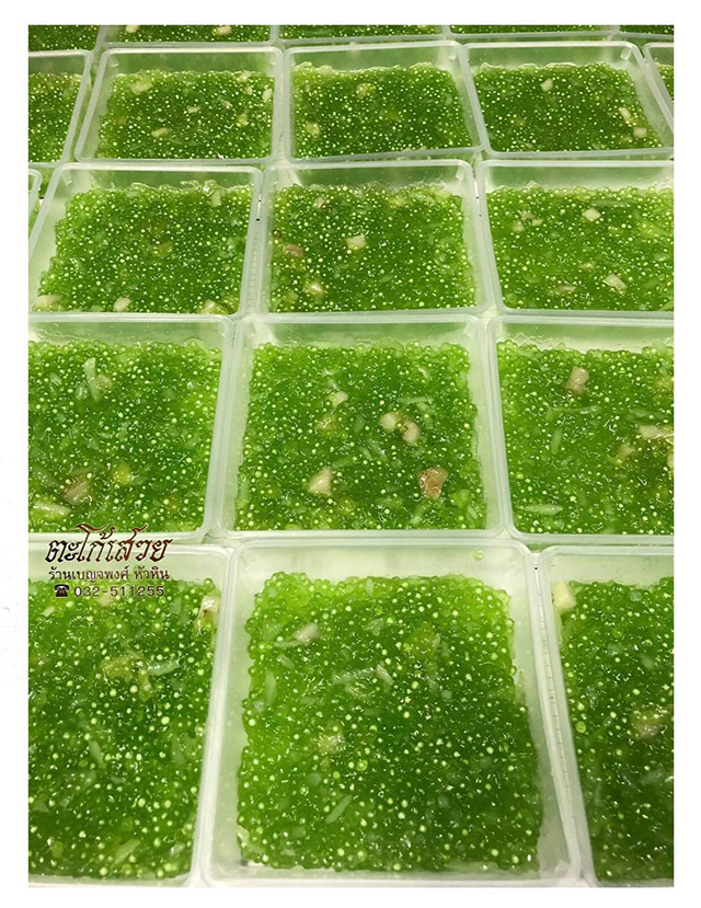 ร้านตะโก้