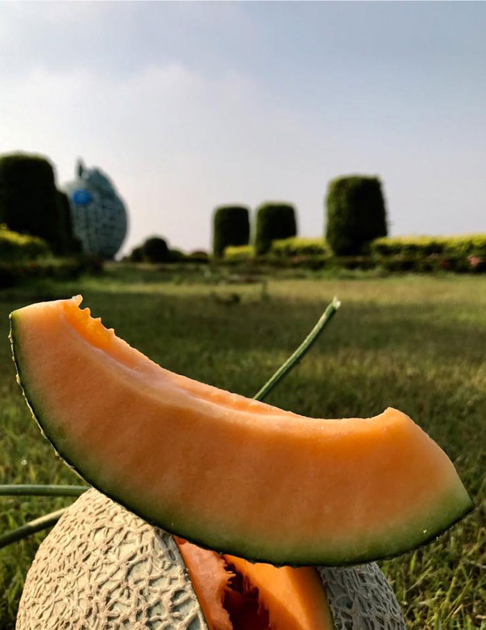 ที่เที่ยวอ่างทอง