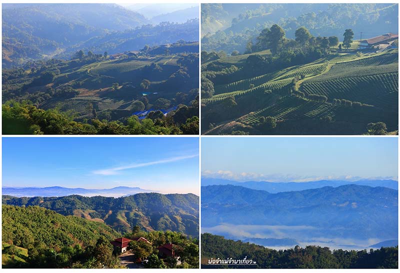 ภูเฆฆตะวัน รีสอร์ท