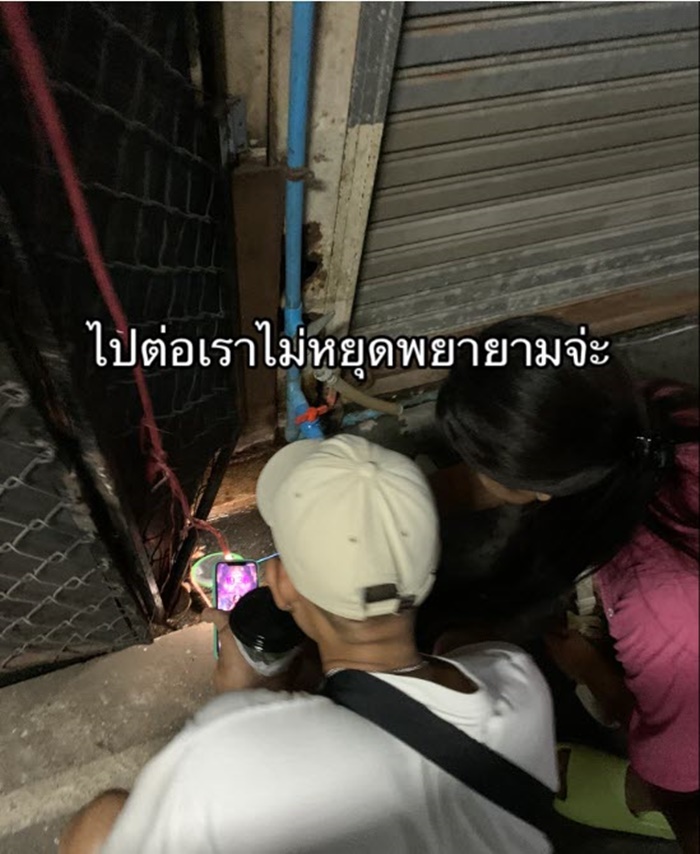 ปลาในท่อ