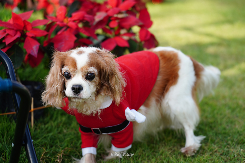 Hugmhaland ตลิ่งชัน