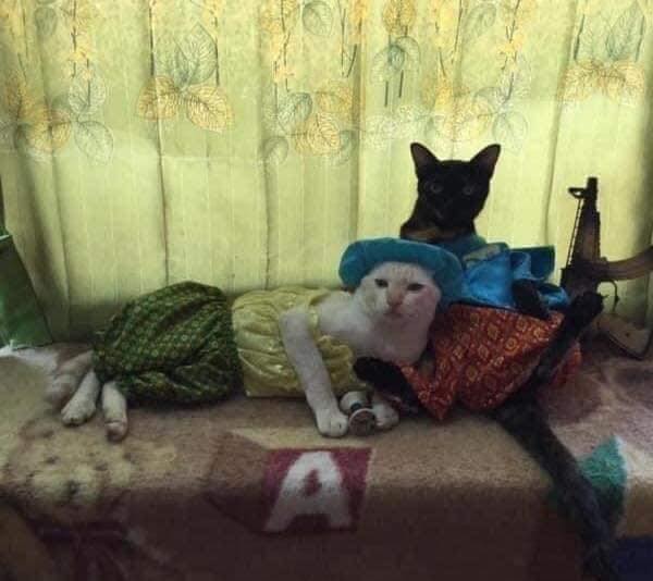 ทำงานบ้าน